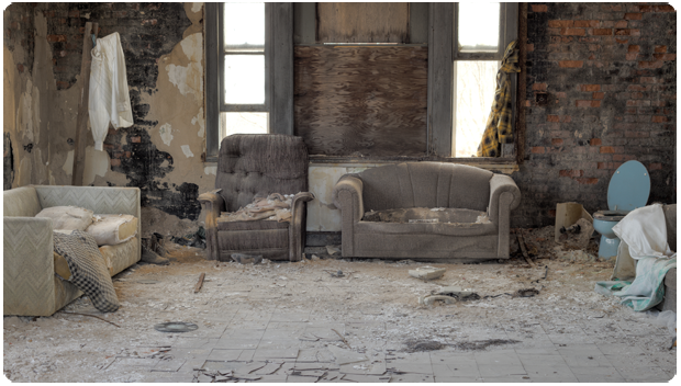 Mold Removal